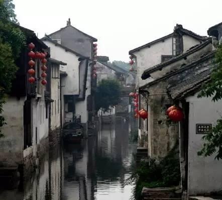 活久见！双头乌龟4根腿玩“漂移”，跑的真挺快！